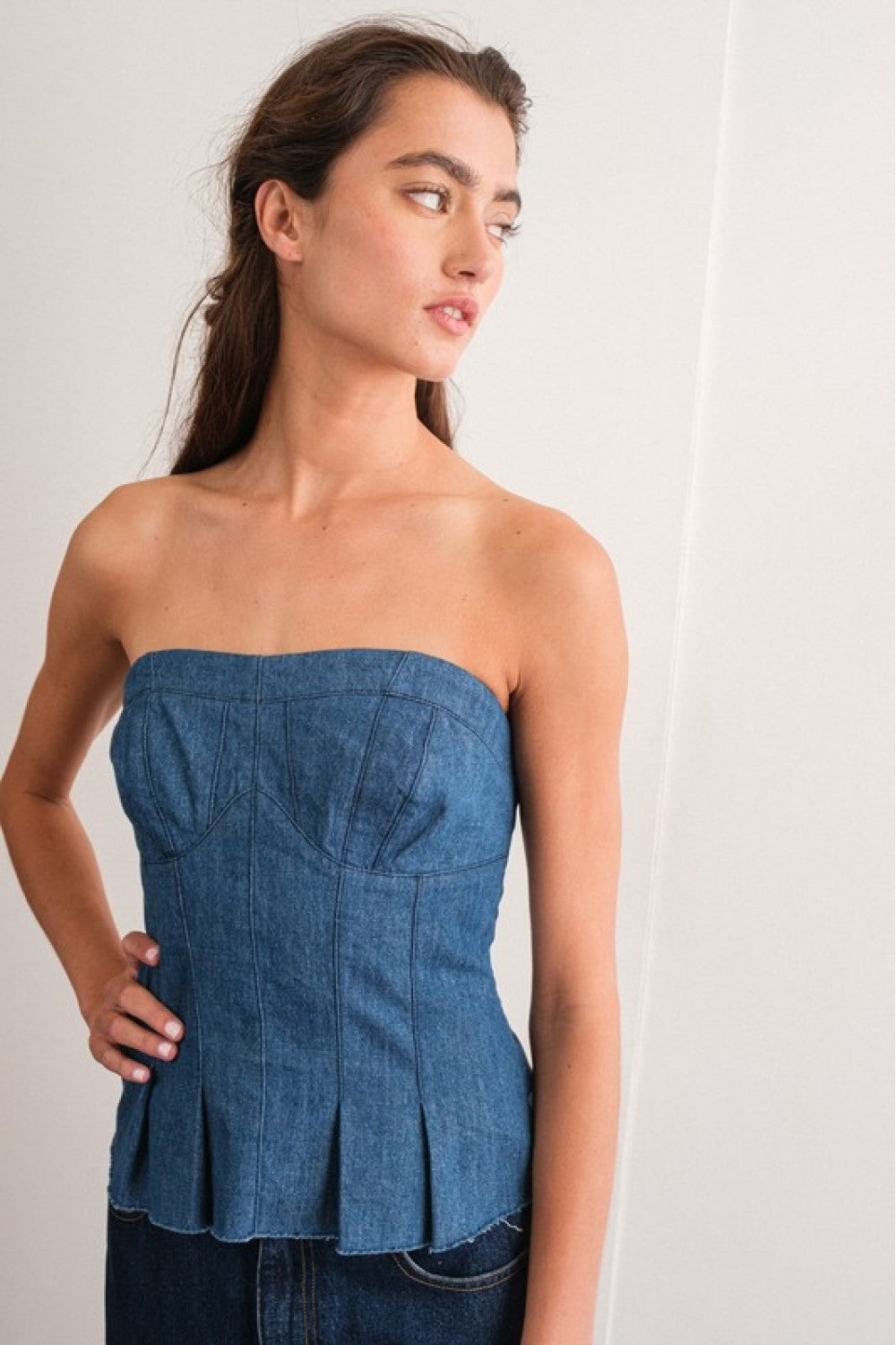 Ariya Denim Bustier Top